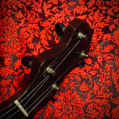 Rare 1920s Washburn Tenor Banjo Style E image 12