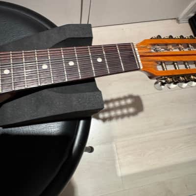 Vintage Bowlback 12 String Mandolin - Mandriola / Trichord image 5