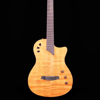 Cordoba Fusion Stage Guitar, Natural Amber with Bag image 5