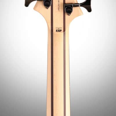 ESP LTD B205 Fretless Electric Bass (5-String) image 9