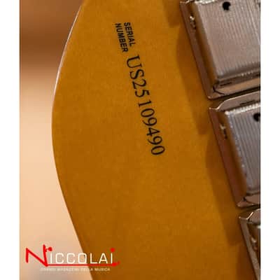 Fender American Professional Classic Telecaster, Rosewood Fingerboard, Faded Dakota Red image 16