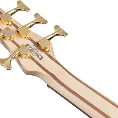Ibanez SR305EDXWZM, SR Standard Series 5-String Electric Bass - Wine Red Frozen Matte image 4