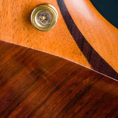 Lowden S-50 Madagascar Rosewood and Adirondack Spruce with Bevel and Leaf Inlays Used (2023) image 23