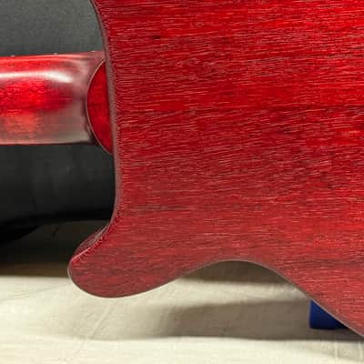 Gibson Les Paul Special DC Double Cut Guitar with Gig Bag 2019 image 12