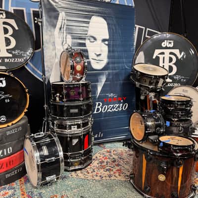Terry Bozzio Signed 1980s Large Vinyl Promo Banner image 2