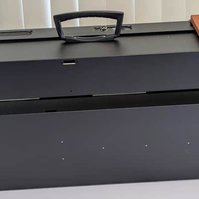 Buchla 201e-18 Powered Cabinet with SKB Case image 12