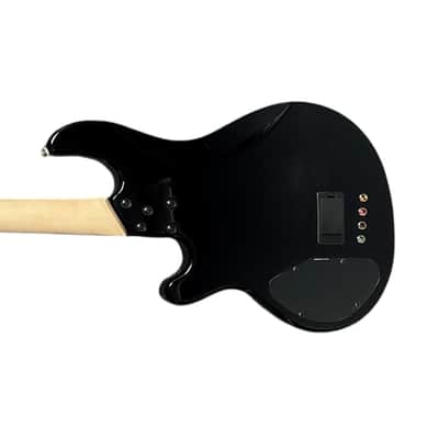 Lakland Skyline 44-02 Custom Spalted Maple w/Rosewood DEMO-FLOOR MODEL *IN STOCK /AS NEW Condition! SAVE $!* image 2