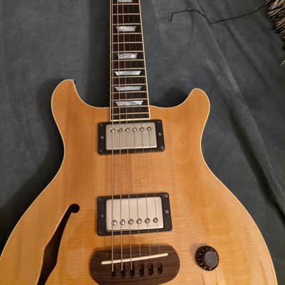 Hamer Duo Tone image 8