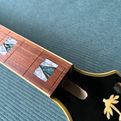 Epiphone Sheraton II Husk image 10