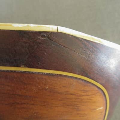 Unlabeled Bowlback Mandolin c.1910's image 20