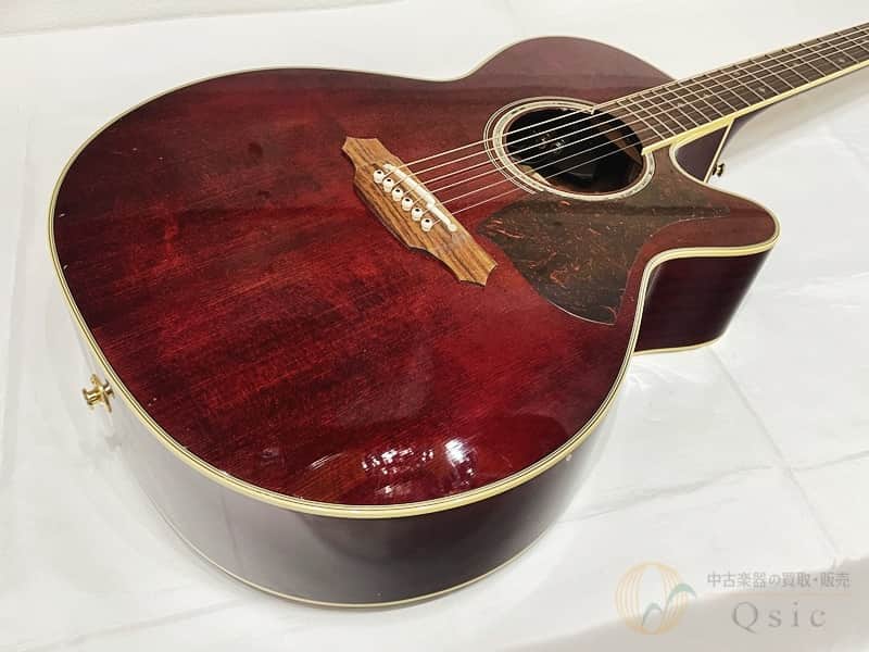 Takamine DMP551C WR