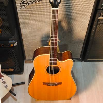 Parkwood PW-560 Electrified with Gigbag image 8