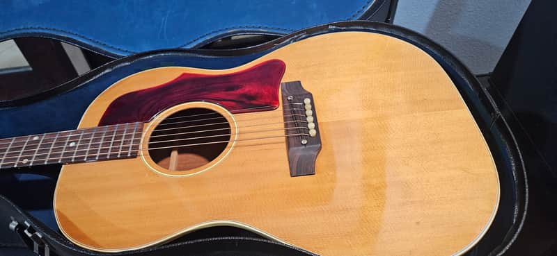 Gibson B-25  - Natural image 1