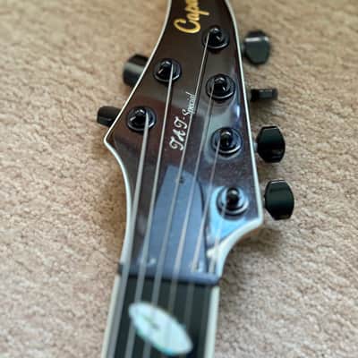 Caparison TAT Special FX “Metal Machine” Adam Dutkiewicz Signature 2017 - Present - Transparent Spectrum Black image 2