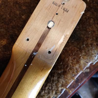 Music Man StingRay with Maple Fretboard 1978 - Natural image 13