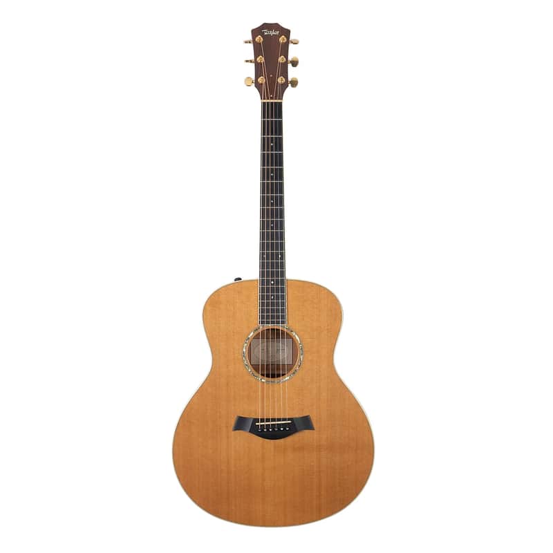 Immagine Taylor GS5 - 1