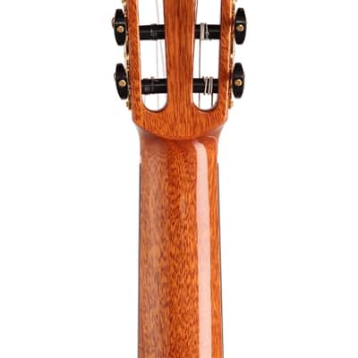 Cordoba C12 Nylon String Nylon Acoustic Guitar With Case image 7