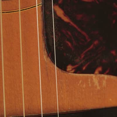 original 1965 Guild F-50 Navarre flattop Sunburst image 11