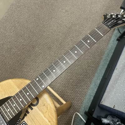 Epiphone Demon V 2001 - Metallic Black image 5