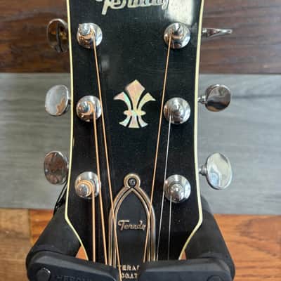 Terada T-100 Acoustic image 4