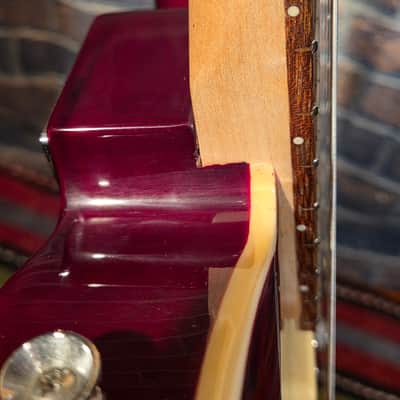 Ivy Thinline T-Style Semi-Hollow Burgundy image 10