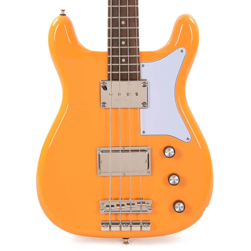 Epiphone Newport Bass 2023 - Present image 8