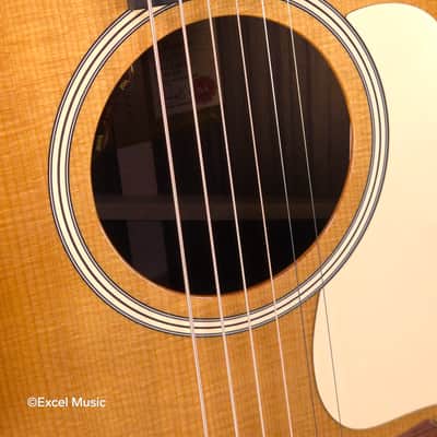 Taylor Gold Label 714e SB Super Auditorium w/HardCase | LR Baggs Element VTC Electronics | Fanned V-Class Bracing | Action Control Neck (Mint Demo Unit) image 9