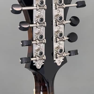 Northfield Big Mon w/ Italian Spruce Top (#B250841) image 9