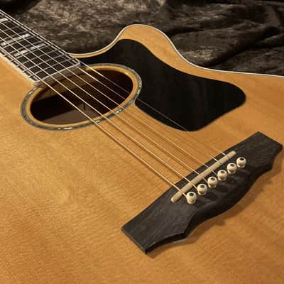 Guild F65ce Westerly Rhode Island Limited Top of the Line Model image 14