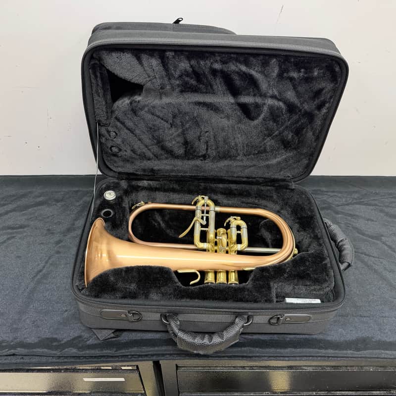 Used Blessing BFH-1541RT Performance Series Intermediate Bb Flugelhorn with Case and Mouthpiece Just Serviced image 1