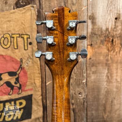 Vintage 1970s D'Agostino Benchmark Guitar image 6
