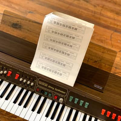 '75 Solina / ARP String Synthesizer - 1 of 100 made 🇳🇱 image 3