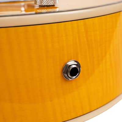 Mojo: Round-neck Resonator Guitar with Pickup and Case image 13