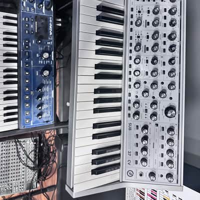 Moog Subsequent 37 CV Paraphonic Analog Synth 2010s - Gray