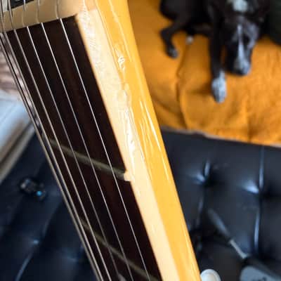 Gibson Les Paul Special 2019 - Present - TV Yellow image 14