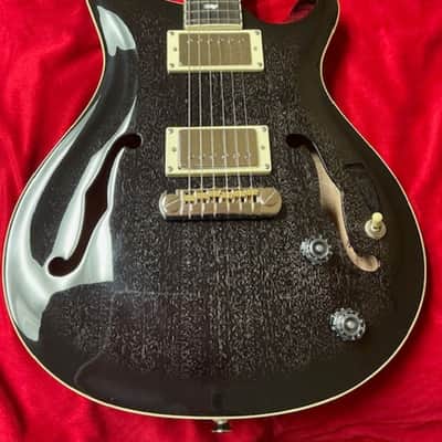 PRS Semi Hollow 2024 - Dog Hair image 1