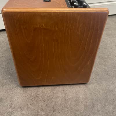 Acus One For Strings 5T 75-Watt Acoustic Combo 2019 - 2020 - Wood image 4