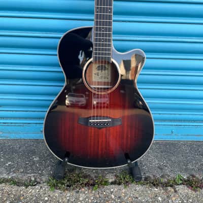 Tanglewood TW4CEAVB Winterleaf Super Folk Electro Acoustic Guitar image 4