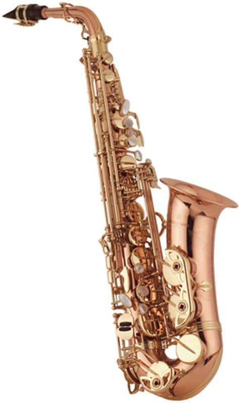 Yanagisawa AWO20 Professional Bronze Alto Sax (A-WO20) image 1