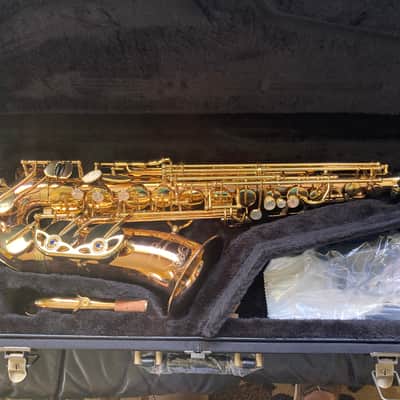 Yanagisawa Elite Alto Saxophone A-WO20 2022 in Bronze image 14