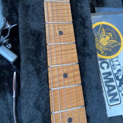 Ernie Ball Music Man Sabre with Maple Fretboard 2020 - 2024 - Honey Suckle image 6
