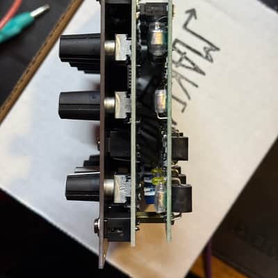 Make Noise QMMG Module 2018 - Present - Black & Gold image 11