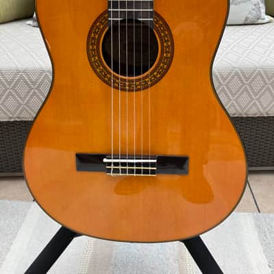 Washburn C40 Classical Nylon Guitar 2010s - Natural image 1