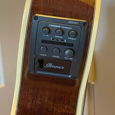 Ibanez AEG12II-NMH image 3