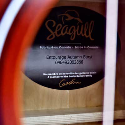 Seagull Entourage Dreadnought - Autumn Burst image 9