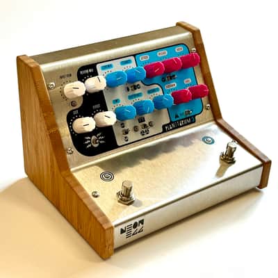 Neon Egg Planetarium 3 2022 - Silver | Reverb