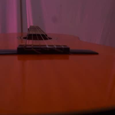 Yamaha G50 Nippon Gakki image 11