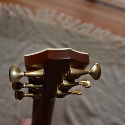 Taylor DMSM 914ce Dave Matthews Signature image 17