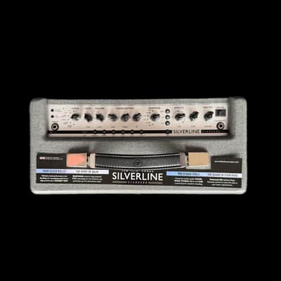 Blackstar Silverline Standard 20w 1x10 Combo Amp image 2