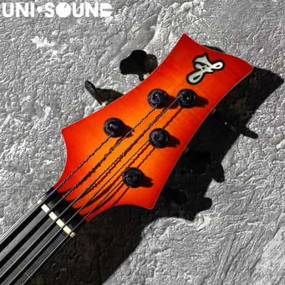 F Bass Alain Caron Signature AC-5 AC5 Fretless image 5